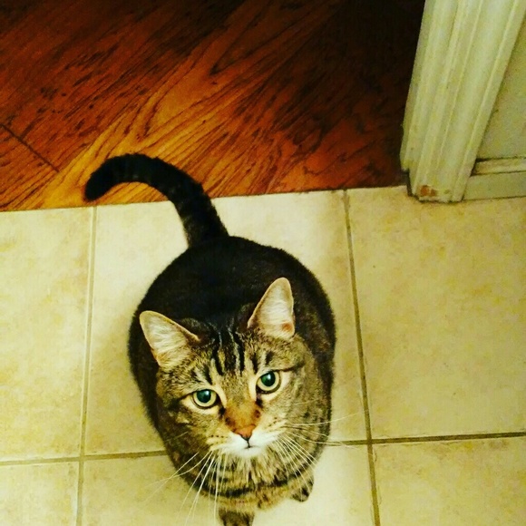 Meet your Posher, Betty - Picture 9 of 13